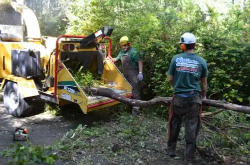 tree services Black Point-Green Point